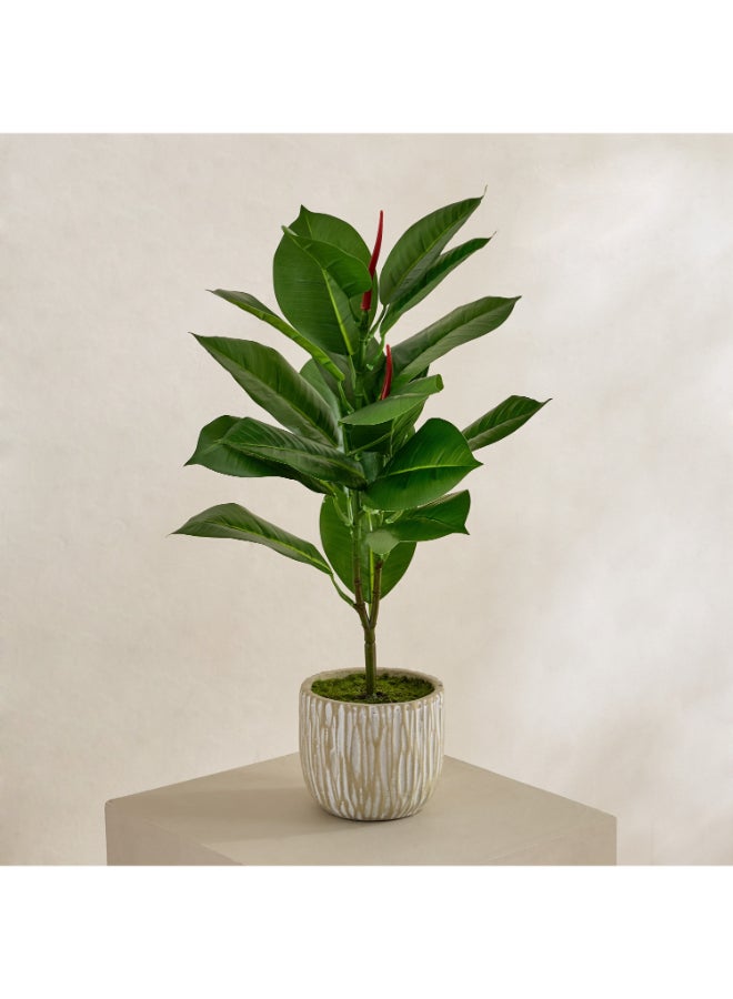 Home Box Evergreen Artificial Rubber Leaf Tree for Home - Image 1